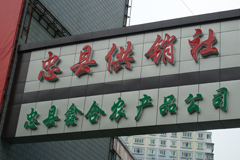 忠縣川祖廟裝修實(shí)景圖